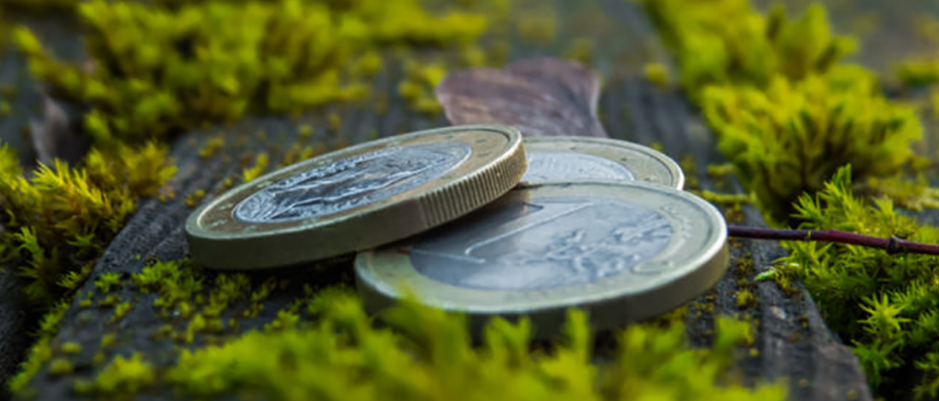 Coins on moss representing climate finance